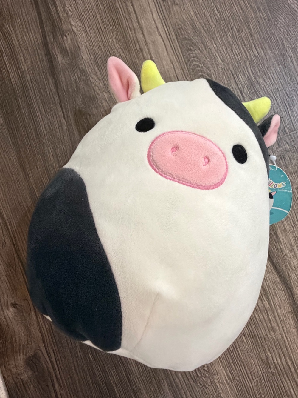 Squishmallow Connor The Cow 8in